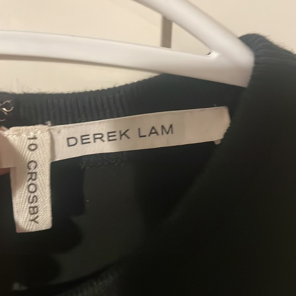 Derek Lam A Line Dress Zip back - Picture 3 of 8